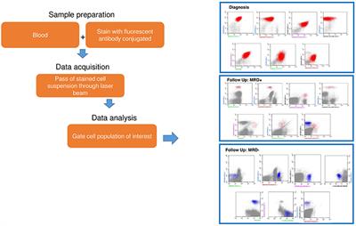 Minimal Residual Disease in Acute Lymphoblastic Leukemia: Technical and Clinical Advances